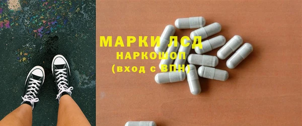 тгк Новодвинск