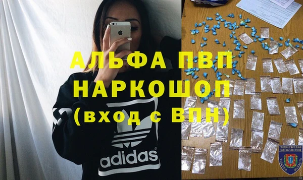 тгк Новодвинск