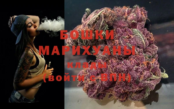 тгк Новодвинск