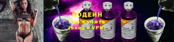 СК Новозыбков