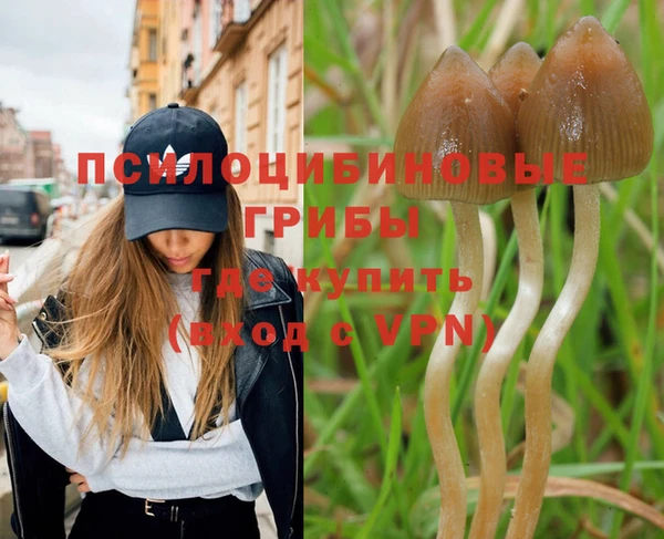 СК Новозыбков
