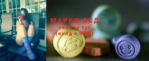 СК Новозыбков