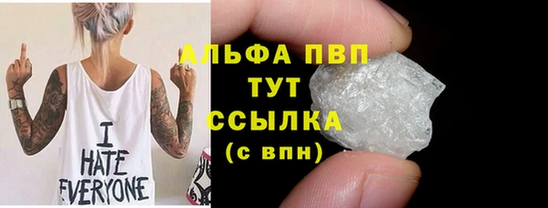 тгк Новодвинск