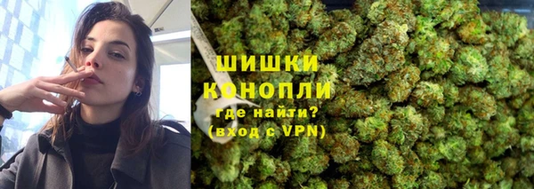 СК Новозыбков
