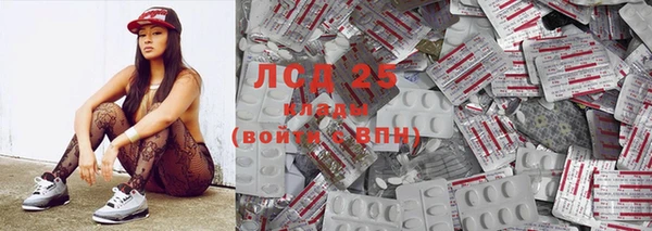 СК Новозыбков