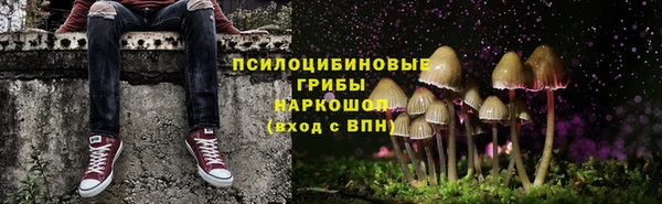 СК Новозыбков