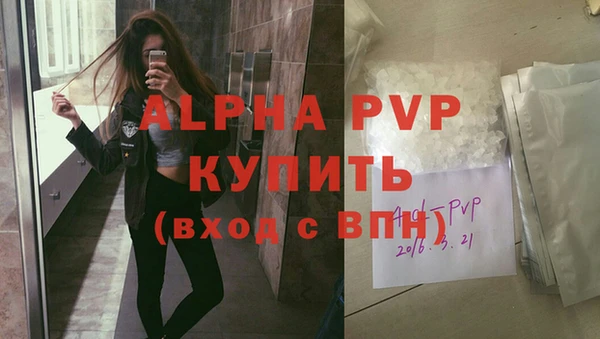 тгк Новодвинск