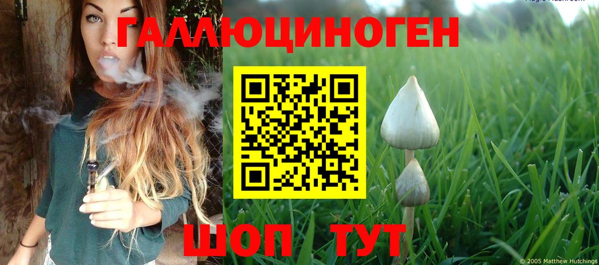 Галлюциногенные грибы Cubensis  Вход с VPN  Клин 